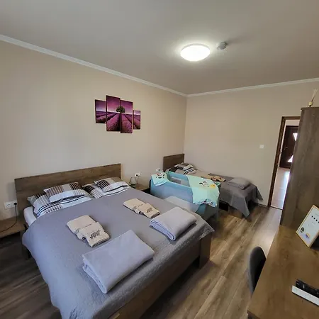 Li-vi Privatunterkunft Debrecen
